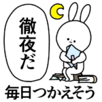 毎日かわいいうさぎの日常と基本