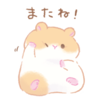 やわ♡もっちハムスター