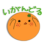 いよべん八幡浜市場ver.