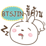 BTSJIN Bear and Rabbit joker_E e