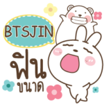 BTSJIN Bear and Rabbit joker_N e