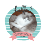 サリーちゃんとトトロ