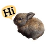 うさぎのトトロ第3弾