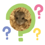 自慢のトトロ！