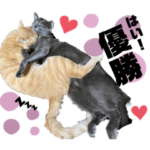 ちくわとトトロ 03