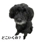 トトロちゃんスタンプ