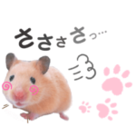 ♡くま＆トトロと愉快な仲間♡