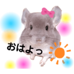 ♡くま＆トトロ♡