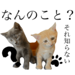 ちくわとトトロ