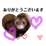 我が家のトトロっち2