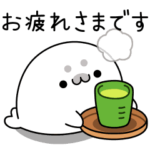 悟りぎみなアザラシ