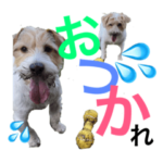 高原家ワンズスタンプ 2