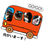 バーニーズ のニーナ時々ジャック