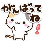 毎日使える☆小さい三毛猫