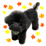 小さいイヌちゃんスタンプ2