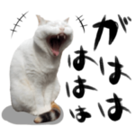 猫と子供の親ばかスタンプ