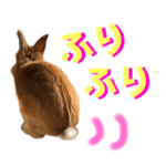 HASEGAWA❤︎"Family