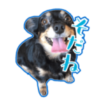 コロちゃんスタンプ第二弾