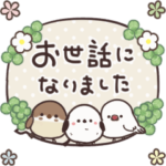 動く！まるいやつらとトリさん⭐︎敬語