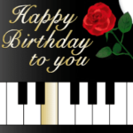 動く▶︎✨特別な日の華やかお祝いセット✨