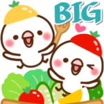 毎日しろちゃん19♥BIG