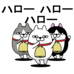 動く 三匹の擦れねこ3