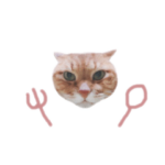 りんそらスタンプ