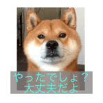 仙人リキの合格祈願