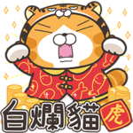 ランラン猫お正月の巻☆寅年