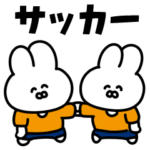 サッカーうさぎ