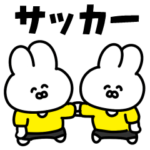 サッカーうさぎ