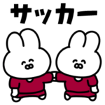 サッカーうさぎ