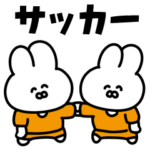 サッカーうさぎ