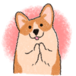 いっぱい いぬ たち