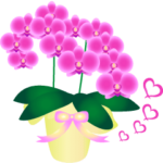 動く♪ランランお花を贈ろう