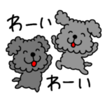 トイプードル 日常スタンプ２