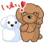 TOY POODLE トイプードル（動く3）
