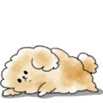 シンプル といぷーどる 日常会話