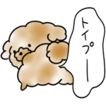 シンプル 毒舌 トイプードル