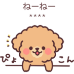 ふわふわもこもこトイプードル カスタム！