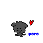 黒トイプードルのぽろちゃん