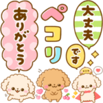 ふわもこトイプー♡まいにちカラフル