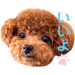 トイプードルのたわしくん