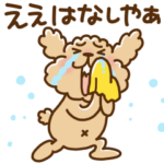 トイプーのぷう太郎 その９