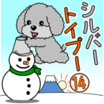 動く！シルバートイプー１４