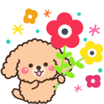 大人かわいい❤️毎日使えるトイプードル
