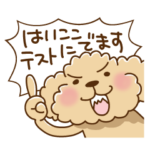 トイプーのぷう太郎 その７