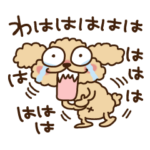 トイプーのぷう太郎　その4