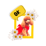 トイプードル笑心ちゃんの日常スタンプ