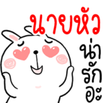 Hi BIGBOSS : Rabbit 1